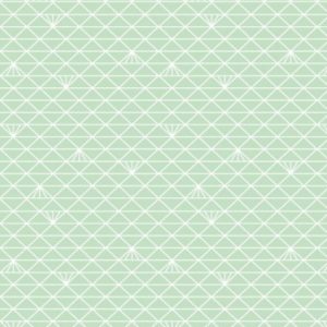 Percale 100% cot 120g 156cm triangle menthe glacé