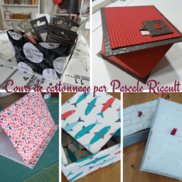 Nouveautés et cartonnage