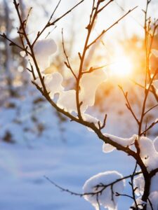 Neige en décembre - Avent à la Boutik creative de Rives