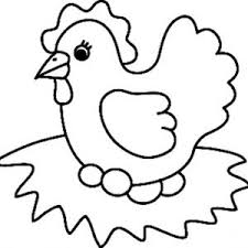 images poule