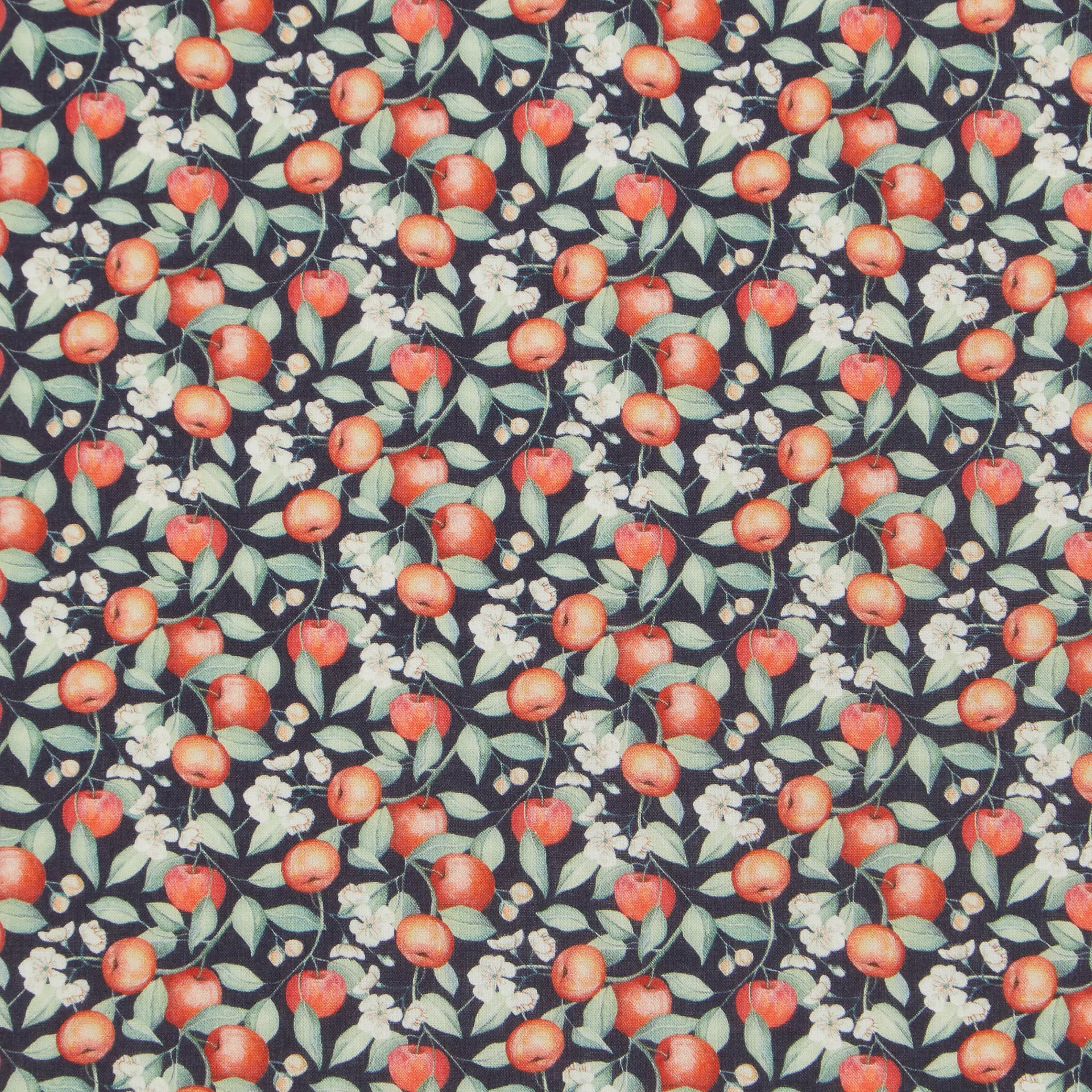 Tissu Liberty Fabrics Tana Lawn® Elvington